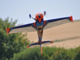 Flugtag 2022